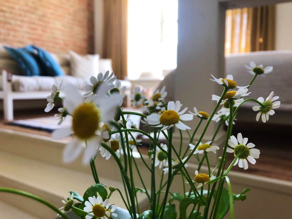 121775898_3329691487106466_2447513039061158054_o R&aacute;j na zemi - venkovsk&yacute; hotel a kav&aacute;rna